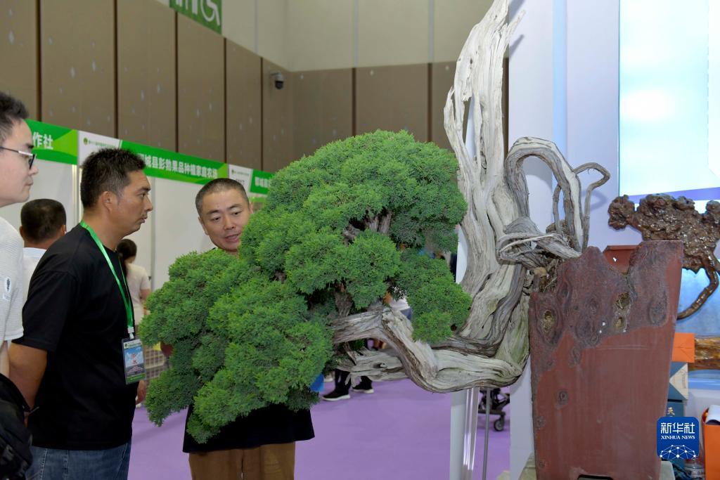 万人炸金花公平